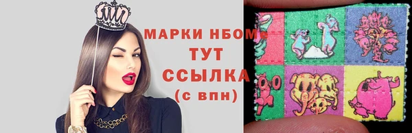 хмурый Алексин