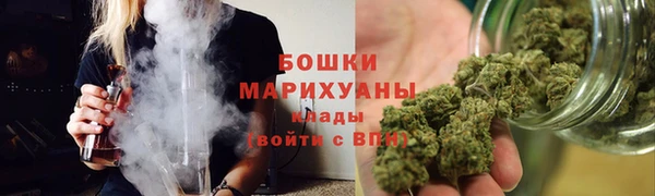 хмурый Арсеньев