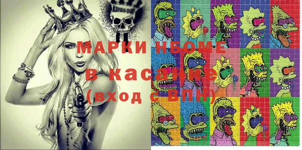 хмурый Алексин