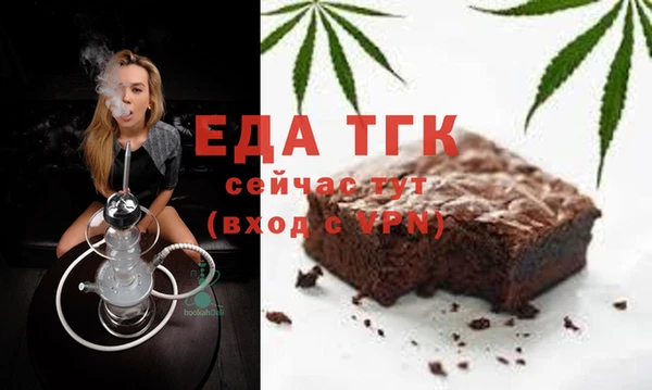 хмурый Алексин