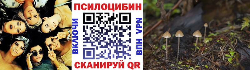 Галлюциногенные грибы ЛСД  Печоры 