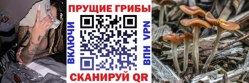 Псилоцибиновые грибы Magic Shrooms Печоры